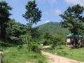 REAL ESTATE FOR SALE : - Land & 4 Houses in Koh Samui Thailand