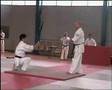 exhibition tameshiwari Okinawa uechi-ryu at Paris 2006