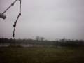 Thorn 17-01-2009