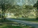 Incredible Location! 3/2/2 pool home