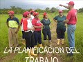 JORNADA DE REFORESTACION EN EL PARQUE MITAR