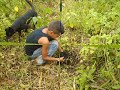 JORNADA DE REFORESTACION EN EL PARQUE MITAR