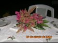 The-Viejazo-Party
