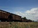 Ferromex AC4400 4510 + 4506 + SD70aCE 4008 + AC4400 4541
