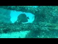 Neptune Memorial Reef