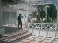 drari d ahemri drari d ahemri