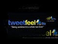 TweetFeel Biz