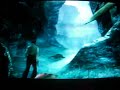 King Kong Part 2 - Millipedes, Birds And Bugs