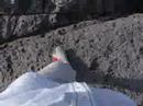 Walking on the rocks