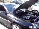 2004 gto 2004 gto