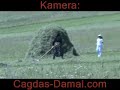 Damal Yaylasi