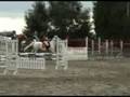 CCE Thieusie Emilie et Nana 80cm cso