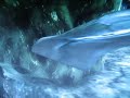 gear of war 2 off side map glitch gear of war 2 off side map glitch