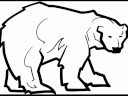 Molle Holmberg - Polar Bear