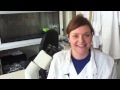 This is a video that the user has chosen on youtube