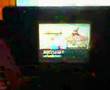 Pokemon Sapphire 1st Elite 4