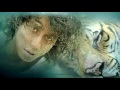 'Life Of Pi' Movie Review