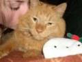 videos de Willy Beans Compilation