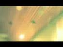 The Dream- em estado de loukura