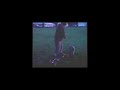 Dog Passes