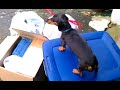 East Coast Earthquake caught on tape/video (raw)