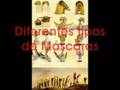 Viagem Pitoresca e Histórica ao Brasil - Tomo I Viagem Pitoresca e Histórica ao Brasil - Tomo I