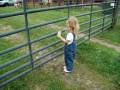 Beth Calling He Cows!!!
