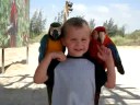 Eli and 2 parrots