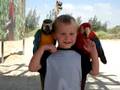 Eli and 2 parrots