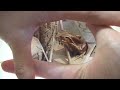 Finger Camera