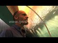 �kosystem Korallenriff Trailer