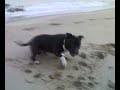 TerKo en la playa