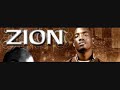 Zion - Trouble RMX.wmv