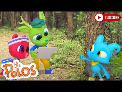 An Iguana Tale | Adventure Learning | MarcoPolo World School | Learn At Home