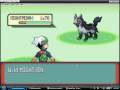 videos de All pokemon are level 70