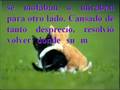 Cuanto vales