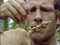 Dirty Jobs: Coffee Growers Dirty Jobs: Coffee Growers