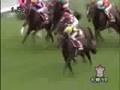 2008 札幌記念 SAPPORO KINEN