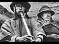 musica andina (peru Bolivia Ecuador)