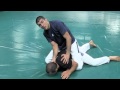 UFC 142: Aldo, Palhares, Belfort (Gracie Breakdown)