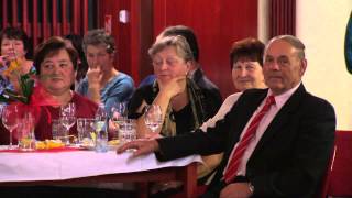 Společenský večer Siemens