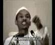 ali belhadj