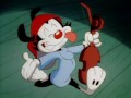 Wakko's America Song by Wakko Warner