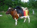 Mitschnitt RSH