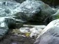MOV00101 SIERRA LA LAGUNA, ARROYO