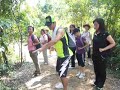 教大家打五步拳