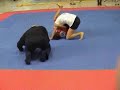 Grappling highlight, Donji Miholjac