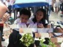 SAINT LOUIS SCHOOL of Mandaue-4d