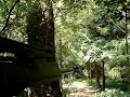 BE SL8 MGB TEST FIRE NEW AIRSOFT BE SL8 MGB TEST FIRE NEW AIRSOFT