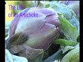 Life of an Artichoke.mp4